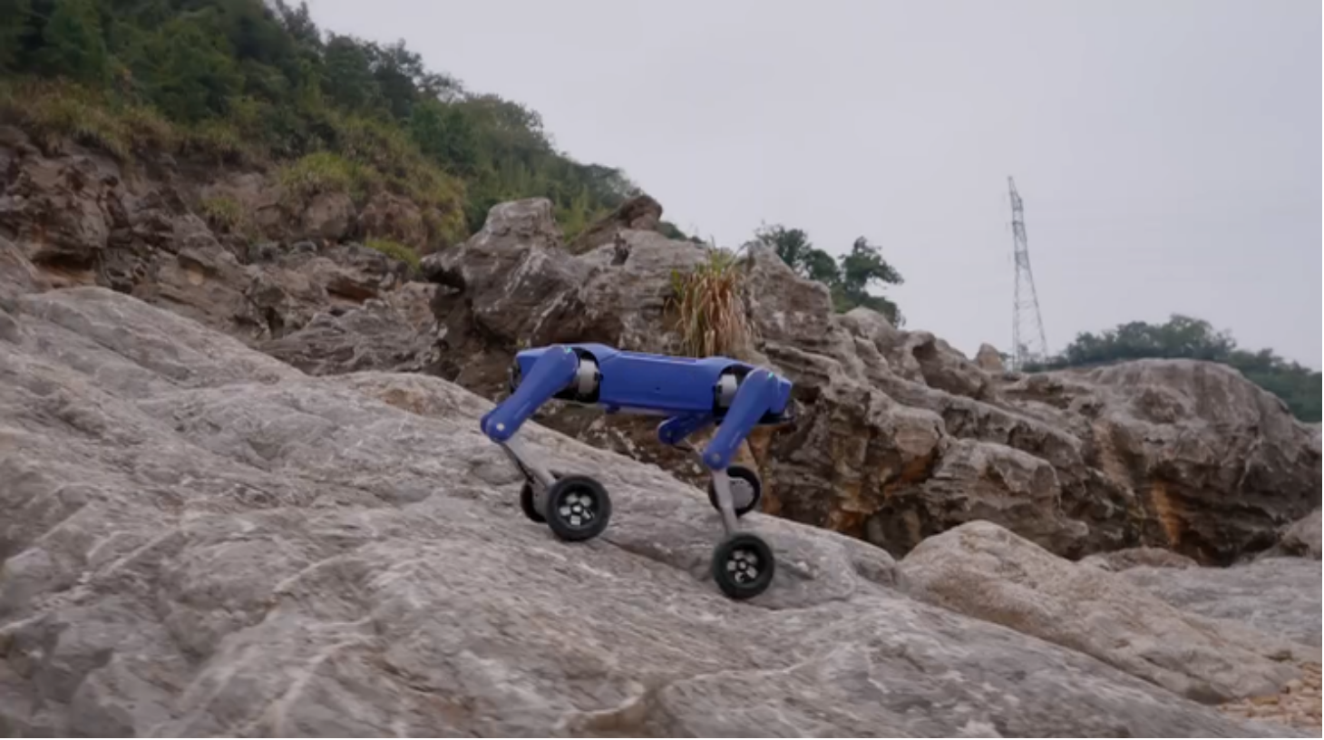 All-Terrain Movement
