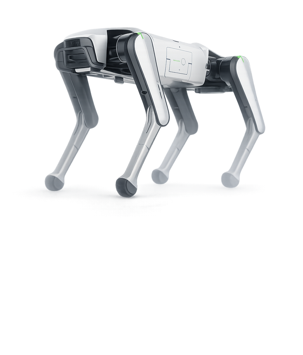 Rover Home Robot Dog